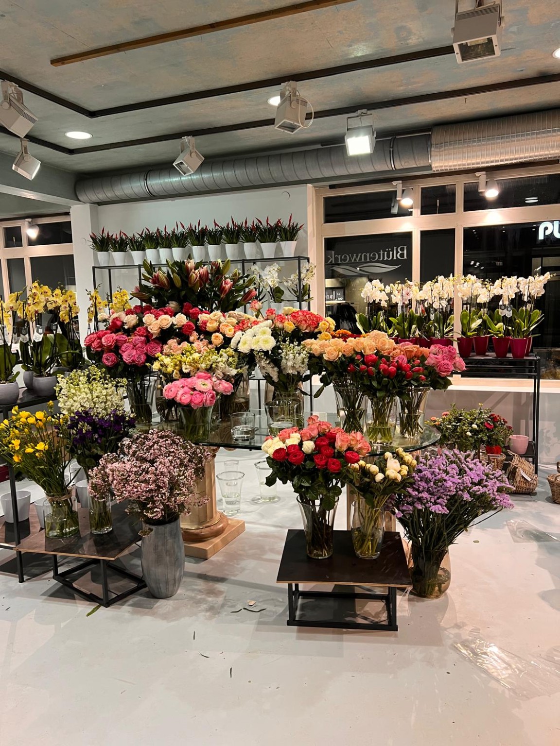 Große Auswahl an Blumen