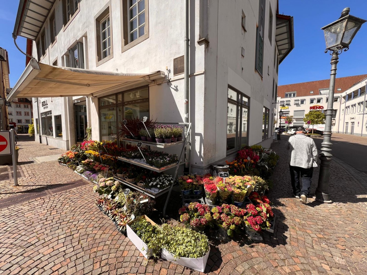 Blütenwerk in Waldshut