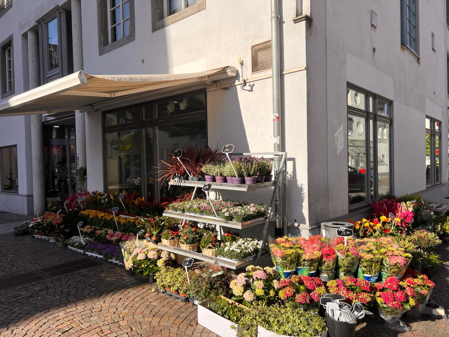 Blütenwerk Außenbereich